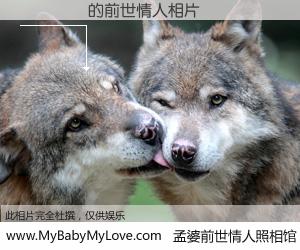 #孟婆前世情人照相馆# 【��� 的前世情人】前生，我们相亲相爱，相约下辈子还要在一起，你的誓言可别忘记。然而轮回路上的一碗孟婆汤，却将一切归零。茫茫人悔，谁是我的前世情人？��� 的前世情人，有图有真相：