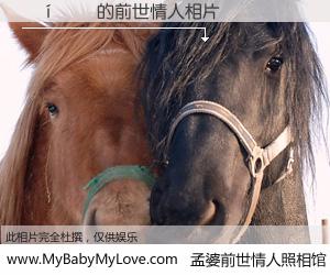 #孟婆前世情人照相馆# 【���� 的前世情人】前生，我们相亲相爱，相约下辈子还要在一起，你的誓言可别忘记。然而轮回路上的一碗孟婆汤，却将一切归零。茫茫人悔，谁是我的前世情人？���� 的前世情人，有图有真相：