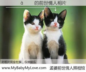 #孟婆前世情人照相馆# 【������ 的前世情人】前生，我们相亲相爱，相约下辈子还要在一起，你的誓言可别忘记。然而轮回路上的一碗孟婆汤，却将一切归零。茫茫人悔，谁是我的前世情人？������ 的前世情人，有图有真相：