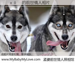 #孟婆前世情人照相馆# 【׿��ӱ 的前世情人】前生，我们相亲相爱，相约下辈子还要在一起，你的誓言可别忘记。然而轮回路上的一碗孟婆汤，却将一切归零。茫茫人悔，谁是我的前世情人？׿��ӱ 的前世情人，有图有真相：