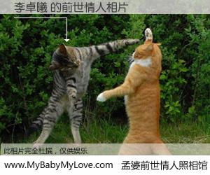 #孟婆前世情人照相馆# 【李卓曦 的前世情人】前生，我们相亲相爱，相约下辈子还要在一起，你的誓言可别忘记。然而轮回路上的一碗孟婆汤，却将一切归零。茫茫人悔，谁是我的前世情人？李卓曦 的前世情人，有图有真相：