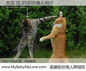 #孟婆前世情人照相馆# 【杰克.范 的前世情人】前生，我们相亲相爱，相约下辈子还要在一起，你的誓言可别忘记。然而轮回路上的一碗孟婆汤，却将一切归零。茫茫人悔，谁是我的前世情人？杰克.范 的前世情人，有图有真相：