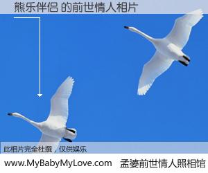 #孟婆前世情人照相馆# 【熊乐伴侣 的前世情人】前生，我们相亲相爱，相约下辈子还要在一起，你的誓言可别忘记。然而轮回路上的一碗孟婆汤，却将一切归零。茫茫人悔，谁是我的前世情人？熊乐伴侣 的前世情人，有图有真相：