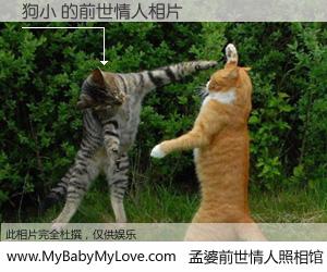 #孟婆前世情人照相馆# 【狗小 的前世情人】前生，我们相亲相爱，相约下辈子还要在一起，你的誓言可别忘记。然而轮回路上的一碗孟婆汤，却将一切归零。茫茫人悔，谁是我的前世情人？狗小 的前世情人，有图有真相：