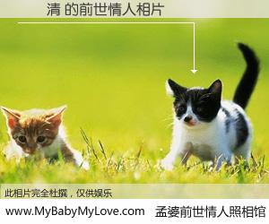 #孟婆前世情人照相馆# 【莊麗清 的前世情人】前生，我们相亲相爱，相约下辈子还要在一起，你的誓言可别忘记。然而轮回路上的一碗孟婆汤，却将一切归零。茫茫人悔，谁是我的前世情人？莊麗清 的前世情人，有图有真相：