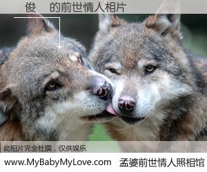 #孟婆前世情人照相馆# 【麥俊傑 的前世情人】前生，我们相亲相爱，相约下辈子还要在一起，你的誓言可别忘记。然而轮回路上的一碗孟婆汤，却将一切归零。茫茫人悔，谁是我的前世情人？麥俊傑 的前世情人，有图有真相：