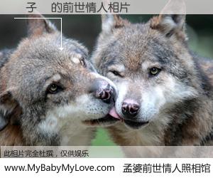 #孟婆前世情人照相馆# 【黃子鋐 的前世情人】前生，我们相亲相爱，相约下辈子还要在一起，你的誓言可别忘记。然而轮回路上的一碗孟婆汤，却将一切归零。茫茫人悔，谁是我的前世情人？黃子鋐 的前世情人，有图有真相：