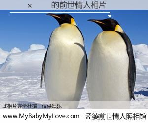 #孟婆前世情人照相馆# 【���Ӻ� 的前世情人】前生，我们相亲相爱，相约下辈子还要在一起，你的誓言可别忘记。然而轮回路上的一碗孟婆汤，却将一切归零。茫茫人悔，谁是我的前世情人？���Ӻ� 的前世情人，有图有真相：