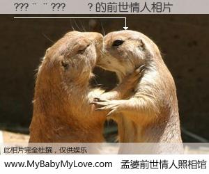 #孟婆前世情人照相馆# 【???��???��? 的前世情人】前生，我们相亲相爱，相约下辈子还要在一起，你的誓言可别忘记。然而轮回路上的一碗孟婆汤，却将一切归零。茫茫人悔，谁是我的前世情人？???��???��? 的前世情人，有图有真相：