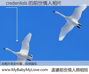 #孟婆前世情人照相馆# 【credentials 的前世情人】前生，我们相亲相爱，相约下辈子还要在一起，你的誓言可别忘记。然而轮回路上的一碗孟婆汤，却将一切归零。茫茫人悔，谁是我的前世情人？credentials 的前世情人，有图有真相：