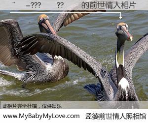 #孟婆前世情人照相馆# 【��-???��??�� 的前世情人】前生，我们相亲相爱，相约下辈子还要在一起，你的誓言可别忘记。然而轮回路上的一碗孟婆汤，却将一切归零。茫茫人悔，谁是我的前世情人？��-???��??�� 的前世情人，有图有真相：