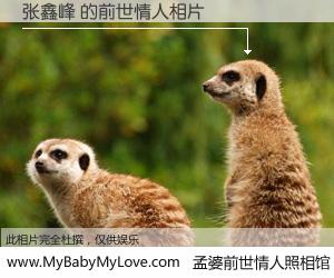 #孟婆前世情人照相馆# 【张鑫峰 的前世情人】前生，我们相亲相爱，相约下辈子还要在一起，你的誓言可别忘记。然而轮回路上的一碗孟婆汤，却将一切归零。茫茫人悔，谁是我的前世情人？张鑫峰 的前世情人，有图有真相：