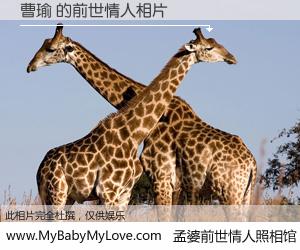 #孟婆前世情人照相馆# 【曹瑜 的前世情人】前生，我们相亲相爱，相约下辈子还要在一起，你的誓言可别忘记。然而轮回路上的一碗孟婆汤，却将一切归零。茫茫人悔，谁是我的前世情人？曹瑜 的前世情人，有图有真相：