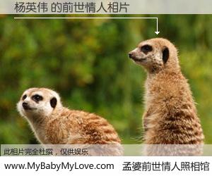 #孟婆前世情人照相馆# 【杨英伟 的前世情人】前生，我们相亲相爱，相约下辈子还要在一起，你的誓言可别忘记。然而轮回路上的一碗孟婆汤，却将一切归零。茫茫人悔，谁是我的前世情人？杨英伟 的前世情人，有图有真相：