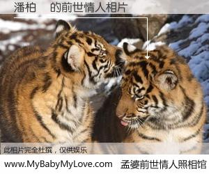 #孟婆前世情人照相馆# 【潘柏鈞 的前世情人】前生，我们相亲相爱，相约下辈子还要在一起，你的誓言可别忘记。然而轮回路上的一碗孟婆汤，却将一切归零。茫茫人悔，谁是我的前世情人？潘柏鈞 的前世情人，有图有真相：