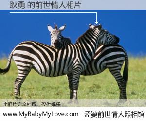 #孟婆前世情人照相馆# 【耿勇 的前世情人】前生，我们相亲相爱，相约下辈子还要在一起，你的誓言可别忘记。然而轮回路上的一碗孟婆汤，却将一切归零。茫茫人悔，谁是我的前世情人？耿勇 的前世情人，有图有真相：