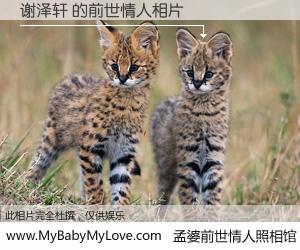 #孟婆前世情人照相馆# 【谢泽轩 的前世情人】前生，我们相亲相爱，相约下辈子还要在一起，你的誓言可别忘记。然而轮回路上的一碗孟婆汤，却将一切归零。茫茫人悔，谁是我的前世情人？谢泽轩 的前世情人，有图有真相：