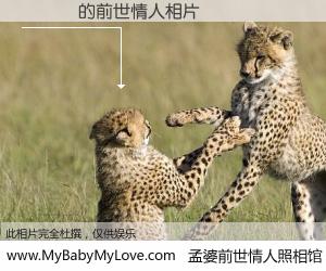 #孟婆前世情人照相馆# 【陳國謙 的前世情人】前生，我们相亲相爱，相约下辈子还要在一起，你的誓言可别忘记。然而轮回路上的一碗孟婆汤，却将一切归零。茫茫人悔，谁是我的前世情人？陳國謙 的前世情人，有图有真相：