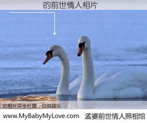 #孟婆前世情人照相馆# 【���Ԫ 的前世情人】前生，我们相亲相爱，相约下辈子还要在一起，你的誓言可别忘记。然而轮回路上的一碗孟婆汤，却将一切归零。茫茫人悔，谁是我的前世情人？���Ԫ 的前世情人，有图有真相：
