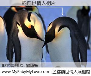 #孟婆前世情人照相馆# 【�Ƴ� 的前世情人】前生，我们相亲相爱，相约下辈子还要在一起，你的誓言可别忘记。然而轮回路上的一碗孟婆汤，却将一切归零。茫茫人悔，谁是我的前世情人？�Ƴ� 的前世情人，有图有真相：