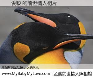 #孟婆前世情人照相馆# 【吳俊毅 的前世情人】前生，我们相亲相爱，相约下辈子还要在一起，你的誓言可别忘记。然而轮回路上的一碗孟婆汤，却将一切归零。茫茫人悔，谁是我的前世情人？吳俊毅 的前世情人，有图有真相：