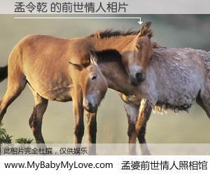 #孟婆前世情人照相馆# 【孟令乾 的前世情人】前生，我们相亲相爱，相约下辈子还要在一起，你的誓言可别忘记。然而轮回路上的一碗孟婆汤，却将一切归零。茫茫人悔，谁是我的前世情人？孟令乾 的前世情人，有图有真相：