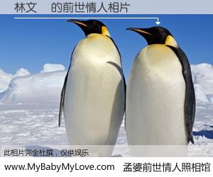 #孟婆前世情人照相馆# 【林文騰 的前世情人】前生，我们相亲相爱，相约下辈子还要在一起，你的誓言可别忘记。然而轮回路上的一碗孟婆汤，却将一切归零。茫茫人悔，谁是我的前世情人？林文騰 的前世情人，有图有真相：
