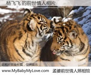 #孟婆前世情人照相馆# 【杨飞飞 的前世情人】前生，我们相亲相爱，相约下辈子还要在一起，你的誓言可别忘记。然而轮回路上的一碗孟婆汤，却将一切归零。茫茫人悔，谁是我的前世情人？杨飞飞 的前世情人，有图有真相：