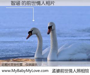 #孟婆前世情人照相馆# 【楊智涵 的前世情人】前生，我们相亲相爱，相约下辈子还要在一起，你的誓言可别忘记。然而轮回路上的一碗孟婆汤，却将一切归零。茫茫人悔，谁是我的前世情人？楊智涵 的前世情人，有图有真相：