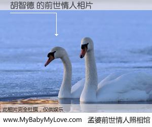#孟婆前世情人照相馆# 【胡智德 的前世情人】前生，我们相亲相爱，相约下辈子还要在一起，你的誓言可别忘记。然而轮回路上的一碗孟婆汤，却将一切归零。茫茫人悔，谁是我的前世情人？胡智德 的前世情人，有图有真相：