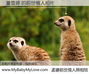 #孟婆前世情人照相馆# 【董雪婷 的前世情人】前生，我们相亲相爱，相约下辈子还要在一起，你的誓言可别忘记。然而轮回路上的一碗孟婆汤，却将一切归零。茫茫人悔，谁是我的前世情人？董雪婷 的前世情人，有图有真相：