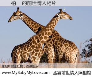 #孟婆前世情人照相馆# 【蘇柏東 的前世情人】前生，我们相亲相爱，相约下辈子还要在一起，你的誓言可别忘记。然而轮回路上的一碗孟婆汤，却将一切归零。茫茫人悔，谁是我的前世情人？蘇柏東 的前世情人，有图有真相：