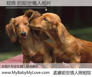 #孟婆前世情人照相馆# 【郑烨 的前世情人】前生，我们相亲相爱，相约下辈子还要在一起，你的誓言可别忘记。然而轮回路上的一碗孟婆汤，却将一切归零。茫茫人悔，谁是我的前世情人？郑烨 的前世情人，有图有真相：