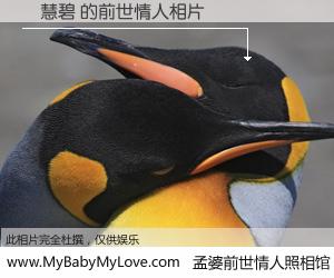 #孟婆前世情人照相馆# 【馮慧碧 的前世情人】前生，我们相亲相爱，相约下辈子还要在一起，你的誓言可别忘记。然而轮回路上的一碗孟婆汤，却将一切归零。茫茫人悔，谁是我的前世情人？馮慧碧 的前世情人，有图有真相：