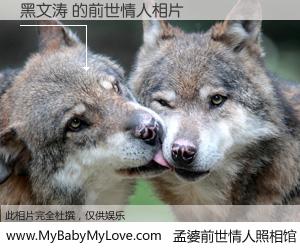 #孟婆前世情人照相馆# 【黑文涛 的前世情人】前生，我们相亲相爱，相约下辈子还要在一起，你的誓言可别忘记。然而轮回路上的一碗孟婆汤，却将一切归零。茫茫人悔，谁是我的前世情人？黑文涛 的前世情人，有图有真相：
