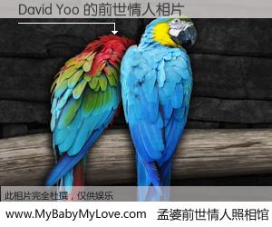 #孟婆前世情人照相馆# 【David Yoo 的前世情人】前生，我们相亲相爱，相约下辈子还要在一起，你的誓言可别忘记。然而轮回路上的一碗孟婆汤，却将一切归零。茫茫人悔，谁是我的前世情人？David Yoo 的前世情人，有图有真相：