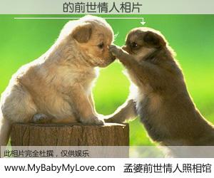 #孟婆前世情人照相馆# 【���� 的前世情人】前生，我们相亲相爱，相约下辈子还要在一起，你的誓言可别忘记。然而轮回路上的一碗孟婆汤，却将一切归零。茫茫人悔，谁是我的前世情人？���� 的前世情人，有图有真相：