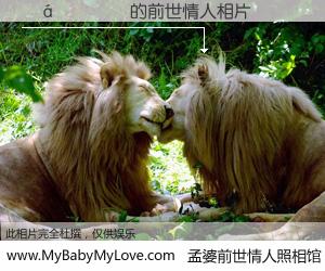 #åŸå©†å‰ä¸–情人照相馆# ã€ÓáÇïÀö çš„å‰ä¸–情人】å‰ç”Ÿï¼Œæˆ‘们相亲相爱,相约下辈å还è¦åœ¨ä¸€èµ·ï¼Œä½ 的誓言å¯åˆ«å¿˜è®°ã€‚然而轮å›è·¯ä¸Šçš„一碗åŸå©†æ±¤ï¼Œå´å°†ä¸€åˆ‡å½’é›¶ã€‚èŒ«èŒ«äººæ‚”ï¼Œè°æ˜¯æˆ‘çš„å‰ä¸–情人?ÓáÇïÀö çš„å‰ä¸–情人,有图有真相: