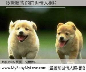 #孟婆前世情人照相馆# 【冷黛墨茜 的前世情人】前生，我们相亲相爱，相约下辈子还要在一起，你的誓言可别忘记。然而轮回路上的一碗孟婆汤，却将一切归零。茫茫人悔，谁是我的前世情人？冷黛墨茜 的前世情人，有图有真相：