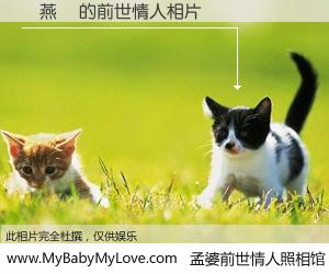 #孟婆前世情人照相馆# 【張燕綺 的前世情人】前生，我们相亲相爱，相约下辈子还要在一起，你的誓言可别忘记。然而轮回路上的一碗孟婆汤，却将一切归零。茫茫人悔，谁是我的前世情人？張燕綺 的前世情人，有图有真相：