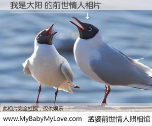 #孟婆前世情人照相馆# 【我是大阳 的前世情人】前生，我们相亲相爱，相约下辈子还要在一起，你的誓言可别忘记。然而轮回路上的一碗孟婆汤，却将一切归零。茫茫人悔，谁是我的前世情人？我是大阳 的前世情人，有图有真相：