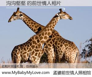 #孟婆前世情人照相馆# 【沟沟壑壑 的前世情人】前生，我们相亲相爱，相约下辈子还要在一起，你的誓言可别忘记。然而轮回路上的一碗孟婆汤，却将一切归零。茫茫人悔，谁是我的前世情人？沟沟壑壑 的前世情人，有图有真相：