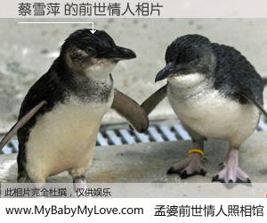 #孟婆前世情人照相馆# 【蔡雪萍 的前世情人】前生，我们相亲相爱，相约下辈子还要在一起，你的誓言可别忘记。然而轮回路上的一碗孟婆汤，却将一切归零。茫茫人悔，谁是我的前世情人？蔡雪萍 的前世情人，有图有真相：