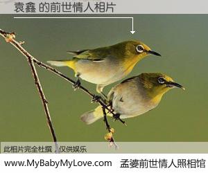 #孟婆前世情人照相馆# 【袁鑫 的前世情人】前生，我们相亲相爱，相约下辈子还要在一起，你的誓言可别忘记。然而轮回路上的一碗孟婆汤，却将一切归零。茫茫人悔，谁是我的前世情人？袁鑫 的前世情人，有图有真相：