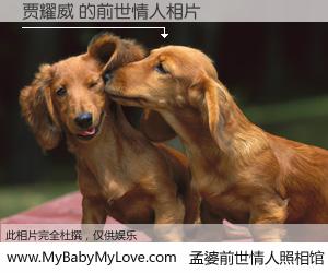 #孟婆前世情人照相馆# 【贾耀威 的前世情人】前生，我们相亲相爱，相约下辈子还要在一起，你的誓言可别忘记。然而轮回路上的一碗孟婆汤，却将一切归零。茫茫人悔，谁是我的前世情人？贾耀威 的前世情人，有图有真相：