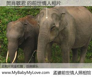 #孟婆前世情人照相馆# 【贺肖敏君 的前世情人】前生，我们相亲相爱，相约下辈子还要在一起，你的誓言可别忘记。然而轮回路上的一碗孟婆汤，却将一切归零。茫茫人悔，谁是我的前世情人？贺肖敏君 的前世情人，有图有真相：