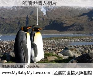 #孟婆前世情人照相馆# 【陳傑揮 的前世情人】前生，我们相亲相爱，相约下辈子还要在一起，你的誓言可别忘记。然而轮回路上的一碗孟婆汤，却将一切归零。茫茫人悔，谁是我的前世情人？陳傑揮 的前世情人，有图有真相：