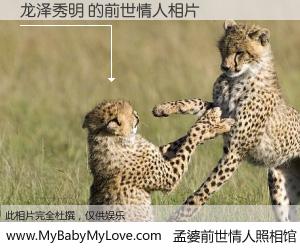 #孟婆前世情人照相馆# 【龙泽秀明 的前世情人】前生，我们相亲相爱，相约下辈子还要在一起，你的誓言可别忘记。然而轮回路上的一碗孟婆汤，却将一切归零。茫茫人悔，谁是我的前世情人？龙泽秀明 的前世情人，有图有真相：