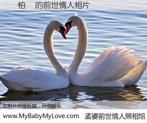 #孟婆前世情人照相馆# 【黃柏叡 的前世情人】前生，我们相亲相爱，相约下辈子还要在一起，你的誓言可别忘记。然而轮回路上的一碗孟婆汤，却将一切归零。茫茫人悔，谁是我的前世情人？黃柏叡 的前世情人，有图有真相：