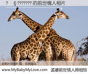 #孟婆前世情人照相馆# 【?��??????? 的前世情人】前生，我们相亲相爱，相约下辈子还要在一起，你的誓言可别忘记。然而轮回路上的一碗孟婆汤，却将一切归零。茫茫人悔，谁是我的前世情人？?��??????? 的前世情人，有图有真相：